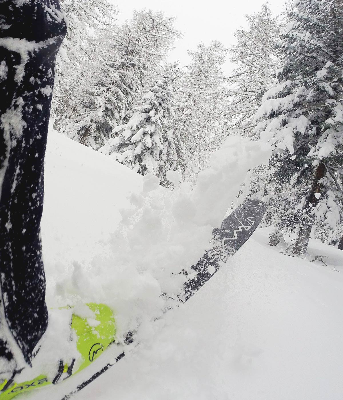 Ambin-Sci-Loose-Page-001